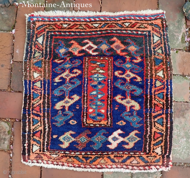 NW/Shasavan-- 21 x 17. Chunky NW weave and you have to look carefully to catch the quirky interest value. With interlocking bird motif and cotton foundation I’m thinking Shasavan. This surrounds a  ...