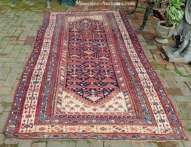 Kurd/Sauj Bulag-- 5 x 9.4. Main Carpet medallion piece with white corners. This rug has the sort of iconography you see in bags and smaller pieces. Very Interesting and decorative. CONDITION: A  ...