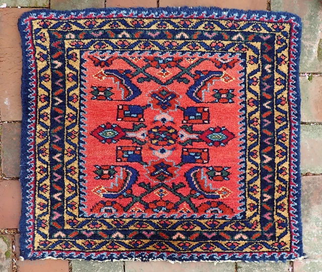 Mini Mehriban-- 20 x 19 in. Hard to tell from photos but this is a little gem. Tiny rug for some small floor spot. Fine soft wool, possibly imported (ie., Manchester) w/  ...