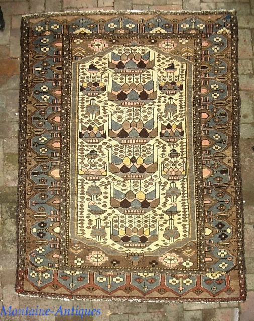 Savah-- 4 ft 3 x 6 ft 4 in. Of course the best Pomegranates are from Savah. Rugs with this design are rare. Rarer still in this larger size. Colors are more  ...