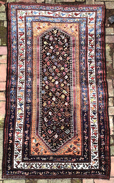 NW/Kurd-- 3.5 x 6.7--  Brown weft. Someone  loved this rug and spent at least $1000 reweaving the guards on both ends. Exceptional work. Slightly lowish in the center but overall  ...