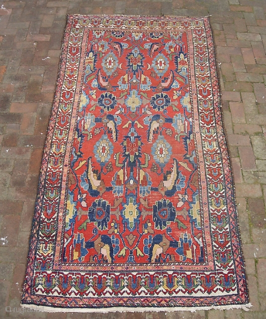Bahktiari  4 ft 2 inches by 8 ft 11 inches.  Design is a hybrid combination of large scale Herati  and  mina Khani. Has a similar flavor to those  ...