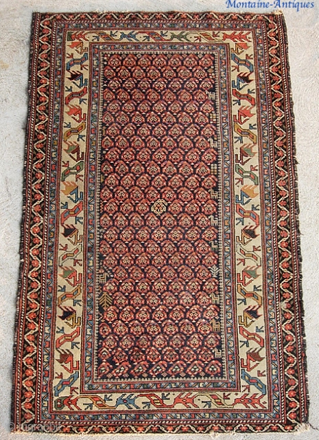 Malayer-- 3 ft 4 by 5 ft 9 inches. Fine weave with totally great colors and Caucasian designs. Note little animal figures. 
Pile is low but even and there is no exposed  ...