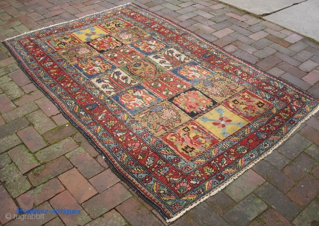 Garden Bahktiari. 4 ft 4 inches x 6 ft 10 inches. Real unique motifs. Terrific decorative colors-- especially the safron yellow. Nicer heavy weave; good condition with pile throughout. $30 us shipping.
 