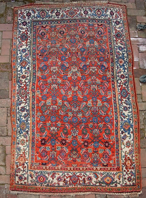 Bidjar-- 4 ft 3 inches x 7 ft  8 inches. Old wool foundation rug with bright, clear colors. Very decorative rug. A bit of attrition at the end weaves but the  ...