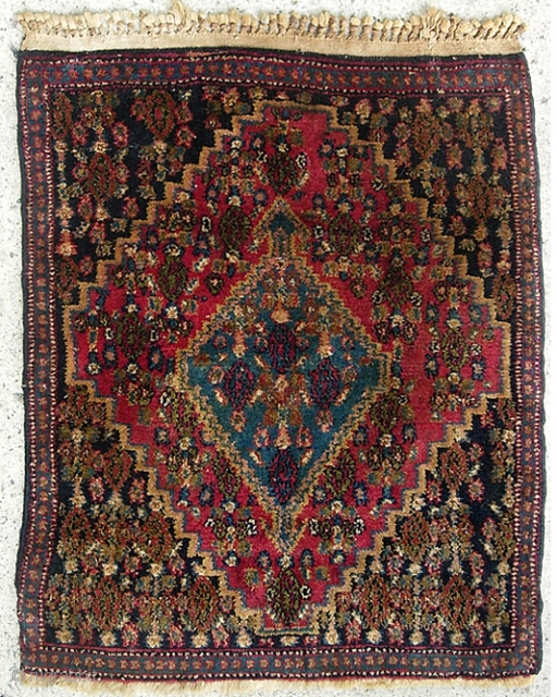 Senneh Pushti. 26 x 33 inches. Typical fine weave. Pile is plush, soft,and deeper than you usually see with these. Condition is pretty close to mint with original ends and sides. $15  ...