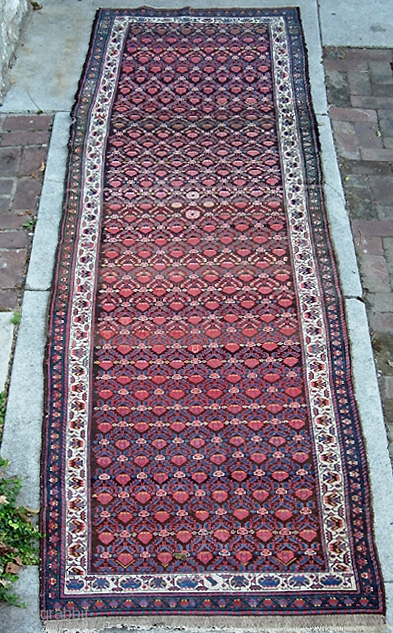 Malayer Runner 3 ft 4 x 12 ft 1 inches. Beautiful and lively. Very crisp old rug with fine weave. Fantastic shimmery colors. Even pile w/no exposed foundation except for the crease  ...