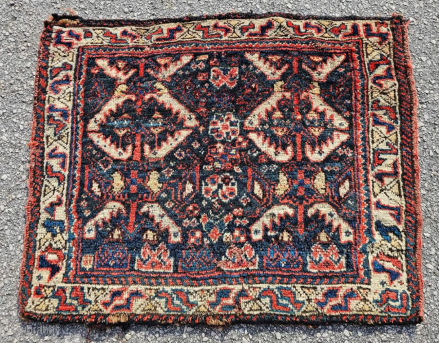 Old SW persian bag face 208-433-0312
roddy@rugcurator.com                           