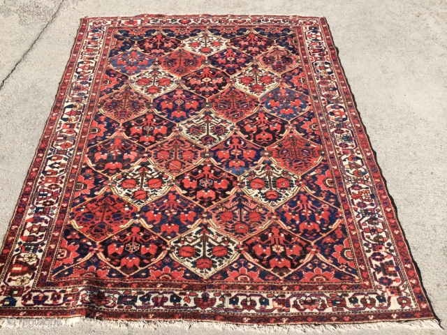 Local Find: A 1920's super fine Bakhtiari rug measuring 6'6"x 5'2" with over 400 knots per square inch.  Has one small area showing foundation (see picture), but other than that, rug  ...