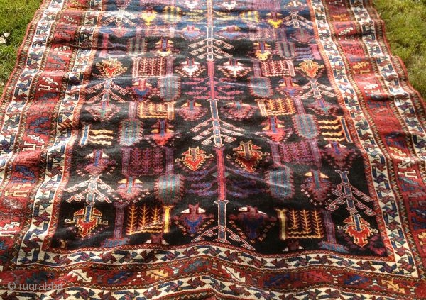 Fresh from an estate is this stunning 1920's 9'2"x5'7" Persian Luri tribal rug.  Has a few places with moth damage, but otherwise, this beauty is ready to go.  Thanks for  ...