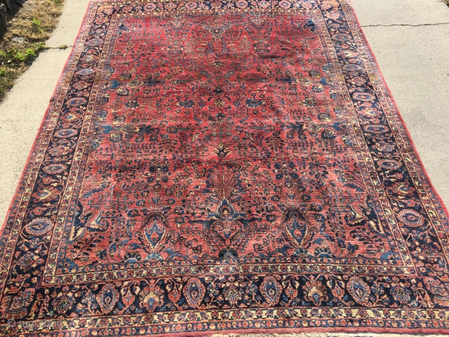 9’x 11’6” 1920’s Persian Sarouk. Pile is in excellent condition. No dry rot, cracking, animal urine, etc, etc. Excellent example and a nice rug to have in your store.    