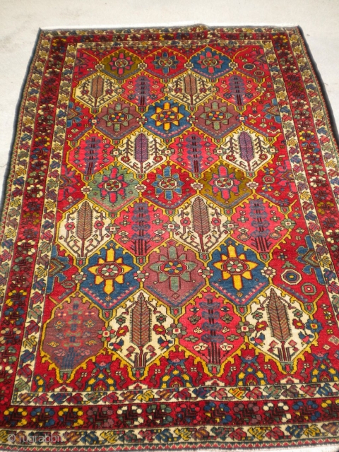 Here is a gorgeous 1920's Bakhtiari with beautiful colors in the oversized 4'x6' size range.  The size is 4'4"x6'5".  Look at these colors!  Great rug!  Thanks!   