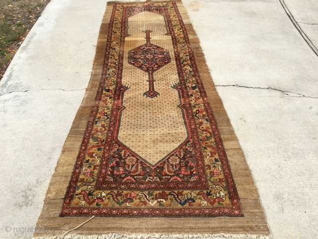 1920’s or older NW persian runner measuring 12’9”x 4’ with some low area’s, some moth grazing, just been cleaned, pictures were taken on a cloudy day, Colors really pop in the sun. 