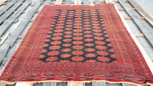 Old Sarki rug with beautiful black background. Size 320x245 cm                       