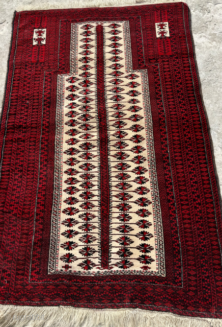 Beluch rug