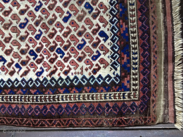 Early Baluch rug, probably from 3rd Qtr 19th Century or earlier. Unusual white field background filled with tiny botehs. Soft thin floppy handle. Low pile throughout and some oxidation of browns. Exhibits  ...