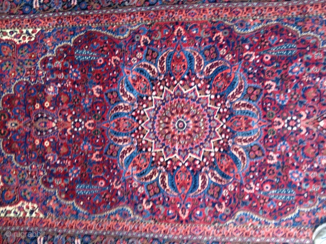 Gorgeous Antique Mashad rug, early 20th C. Beautiful all natural colors with good medium pile, some lower areas in center, a fold wear about 3" long near center, and some oxidation of  ...