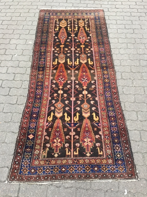 Antique Persian Bakhtiary tree of life rug with birds and animals, age: circa 1920, size: ca. 240x100cm / 7'9''ft x 3'3''ft            