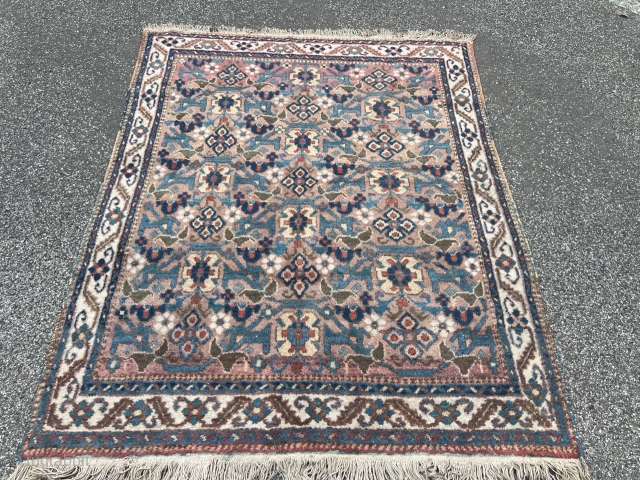 Afshar rug from Southpersia, size: ca. 165x135cm / 5’4ft by 4’4ft http://www.najib.de                     