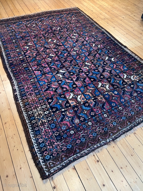 
Antique Turkmen inspired Kordi rug with Aina gul design, good condition. Size: 265x180cm / 8'7''ft x 6ft. Origin: Khorassan province, North-East Persia http://www.najib.de          