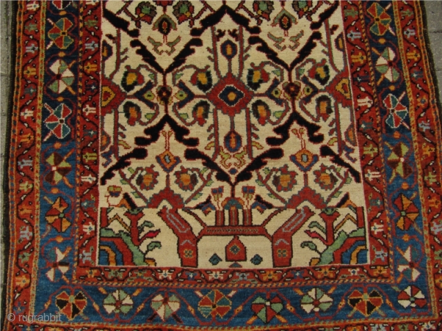 White ground Bakhtiary long rug. One of the most beautiful Bakhtiary´s I have ever seen. Circa 1880. Wool pile on wool foundation. Excellent drawing, great wool quality and beautiful colors. Good overall  ...