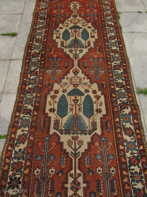 Antique Persian Bakhtiary long rug . Age : ca 1900 . Size : ca 335cm x 107cm ( 11' x 3'5'' )           