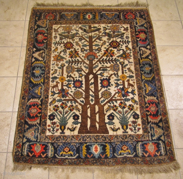 Antique Neiriz tree of life rug from Southpersia. Such a finely drawn design is very unusual for a tribal rug. Size: 156x123cm / 5'2''ft x 4'1''ft, very good condition, age: circa 1900.  ...