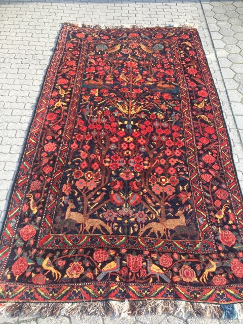 The Garden of Eden: Antique Persian Bakhtiary tribal rug displaying a tree of life design with lot of animals, wool foundation. Age: late 19th century, size: ca. 370x210cm / 12'1''ft x 6'8''ft  ...