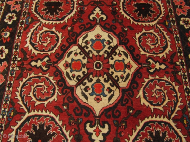 Just out of a North-German estate: Antique Persian Bakhtiary rug, circa 1920. Size: ca 220x140cm / 7'2'' x 4'6''              