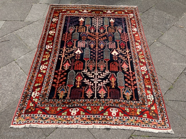 Antique Persian Bakhtiary rug with a so called Bid Majnun design of Cypress and Willow trees on a navy blue field. Size ca. 200x150cm / 6’6ft by 4’9ft http://www.najib.de    