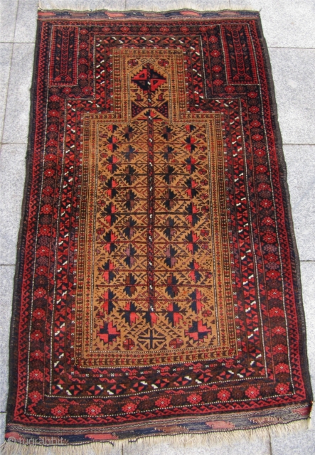 Antique camel ground Baluch prayer rug. Origin: Northeast Persia, Khorossan province. Good condition. Size: ca. 140cm x 85cm / 4'6'' x 2'8'' For more pictures: www.najib.de       