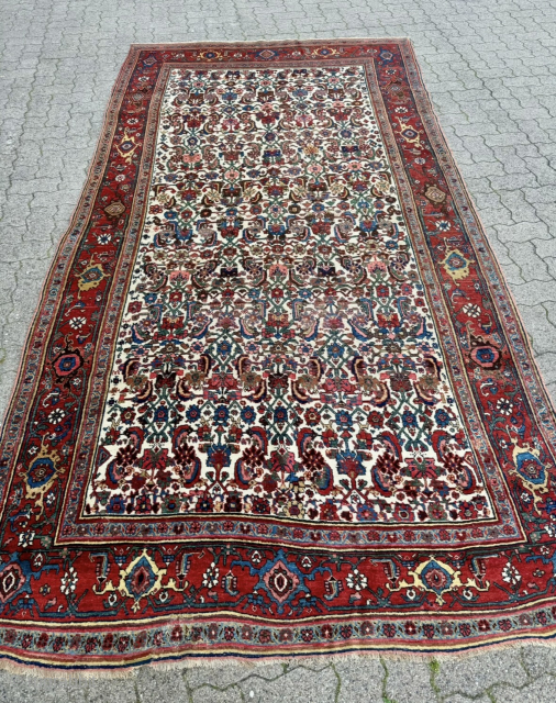 Antique Persian Bidjar Gerrus rug, circa 150 years old. Beautiful ivory field color. Wool foundation. Size circa 335x175cm / 11ft by 5,8ft http://www.najib.de          