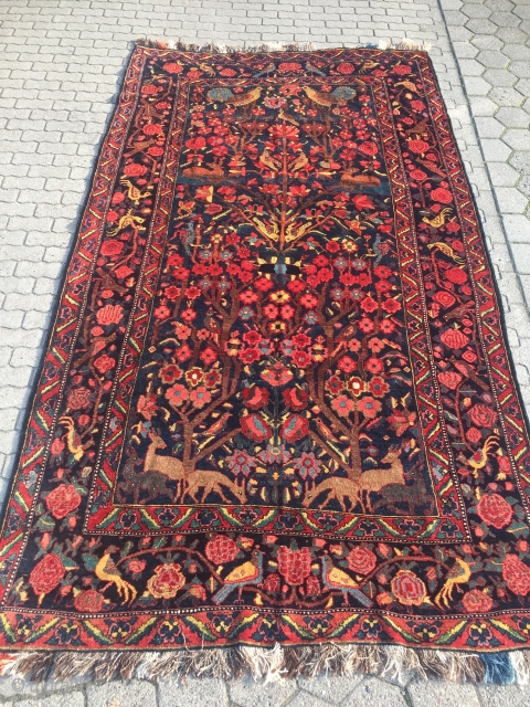 Antique Persian Bakhtiary village rug displaying a tree of life design with lot of animals, wool foundation. Age: late 19th century, size: ca. 370x210cm / 12'1''ft x 6'8''ft good condition   