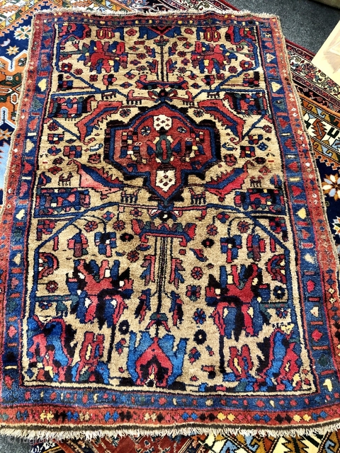 Antique Kurdish Kolyai rug (Wagireh /Sampler rug?) from West-Persia. Size: 195x125cm / 6'4''ft by 4'1''ft good condition                