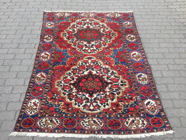 Colorful Persian Bakhtiary rug with lots of flowers and birds, age: circa 1920, size: ca. 205x150cm / 6'7''ft x 5ft
             