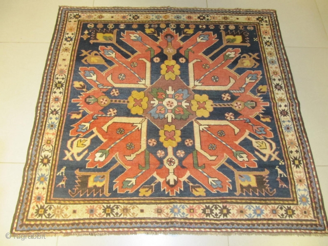 ref: S203/ Kazak Adler Cheleberd Caucasian antique rug mid 19th century , very unusual size almost square woven like a vagireh sample , almost in perfect condition a few spots of replies.size  ...