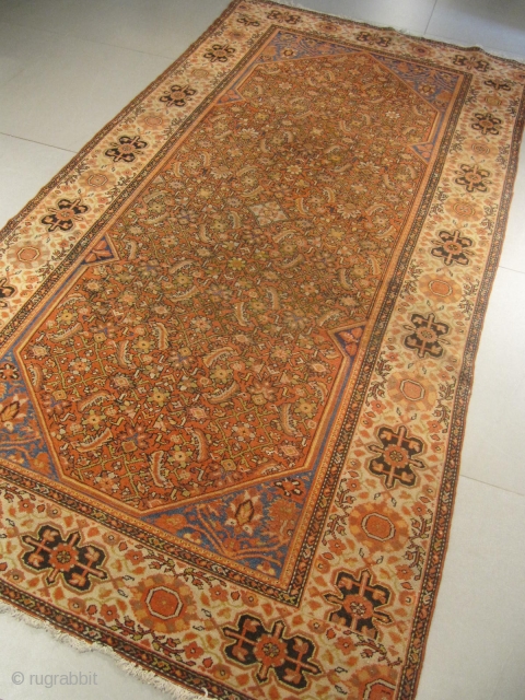 u) Hamadan Malayer Persian rug, 20th century, perfect condition
size: 300 X 155  /  9' X 5'               