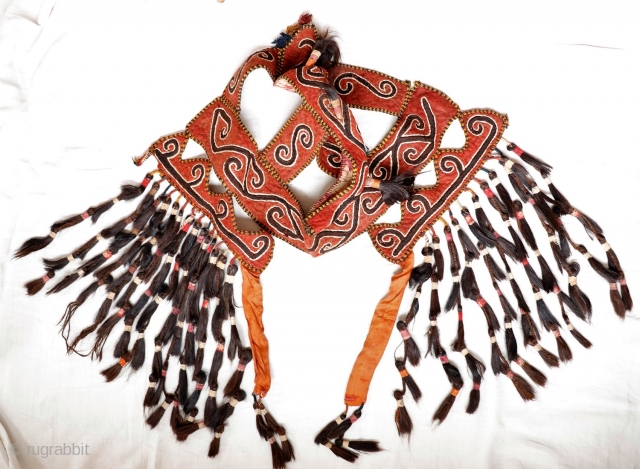 Kyrgiz or Uzbek, perhaps from Afghanistan, felt camel head-dress with applique stitching and horse-hair tassles, a rare tribal piece in excellent condition. A decorative camel headdress for weddings and other special occasions.  ...