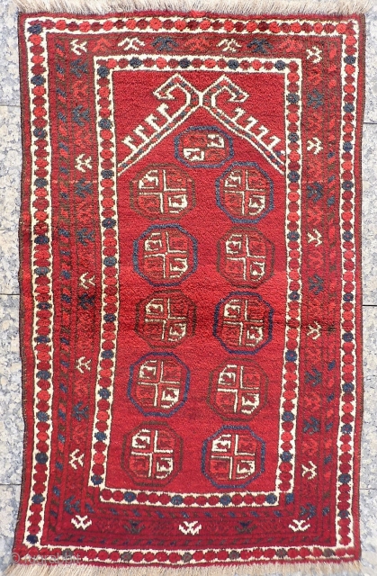 A soft, glossy and shinny prayer rug woven by ethic Uzbeks in Afghanistan. The 11 güls in the field are framed by a hooked Mihrab. The little "flowers" in the two white  ...