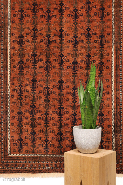 A finely woven antique Baluch rug from the Sistan area of Afghanistan, featuring a rare and charming design of a small plant or bush repeated across the entire field. With a very ...