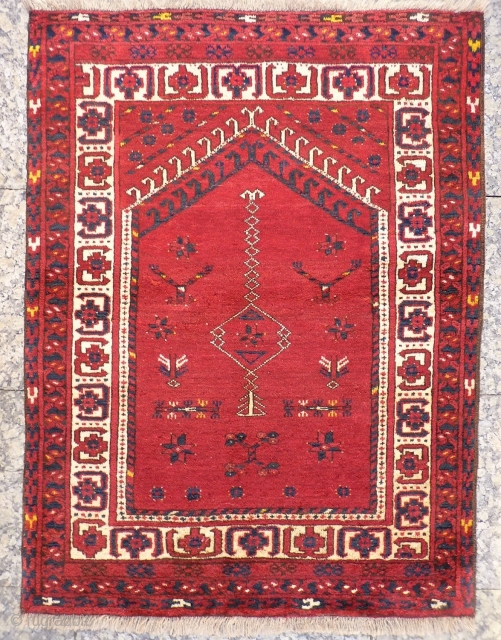 For this tightly woven Ersari rug, only the best quality soft and shinny wool has been used. The white strong and more formal border, frames a very interesting field filled with an  ...