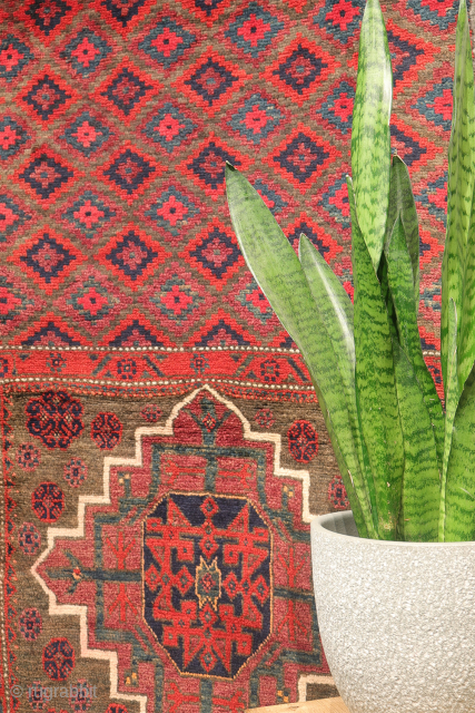Rare  Baluch Runner from Iran – Design inspired by early Islamic architecture

This fascinating semi-antique Baluch runner from Iran features a rare and distinctive design. Originally crafted as a saddlebag, it has  ...