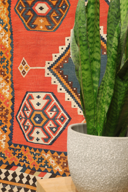 This stunning antique Persian Qashqai kilim showcases an impressive range of rich, natural colours, including indigo blue, mustard yellow, and warm terracotta—all achieved using 100% natural dyes.

Woven with exceptionally fine, hand-spun wool,  ...