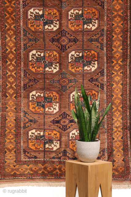 An antique Baluch rug featuring an exceptional emerald green colour.
This finely woven Baluch rug has a remarkably high knot density, allowing for an intricate and detailed design. The field is decorated with ...