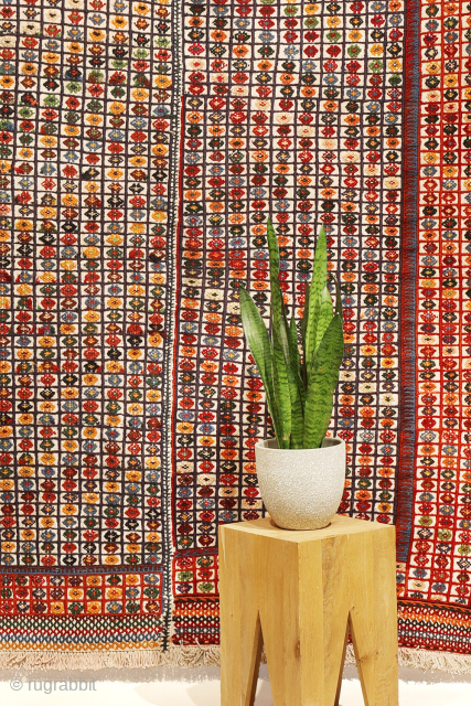 Shiraki Kilim from Southern Iran 

This type of kilim is known locally in southern Iran as a “shiraki”, a word that literally means “needle work” — though, interestingly, it is woven on  ...