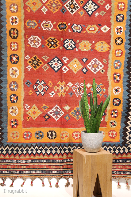 A superb antique Qashqai kilim showcasing a rich palette of natural colors. The background is dyed in what Persian weavers once called "copper" colour—a warm terracotta shade achieved with natural dyes. Upon  ...