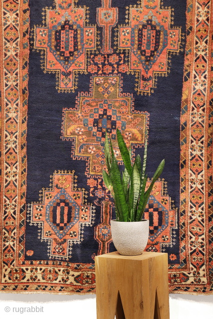 
The deep indigo-blue field provides the perfect backdrop for the four medallions, woven in soft pastel colours that contrast beautifully with the dark ground. Although the medallions are drawn in a highly  ...