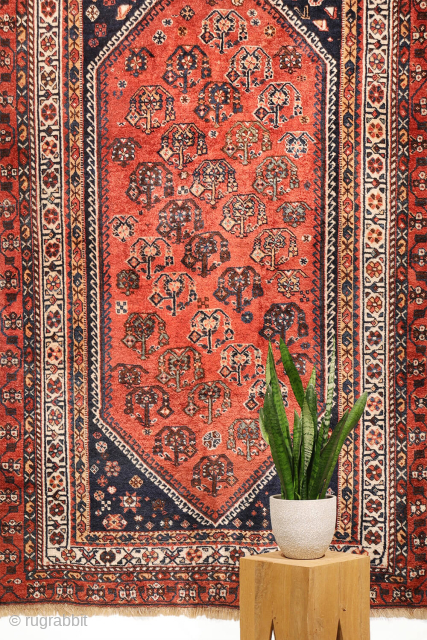 A lovely antique Luri rug with a field filled with elegantly rendered palmettes, arranged diagonally by colour. The spaces left between the main motifs are enriched with scattered decorative elements.. The navy ...