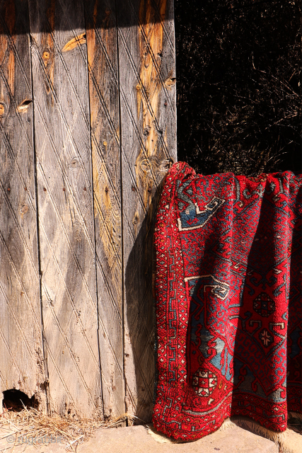 A wonderfully thick and plush antique Bergama rug, with a beautiful range of colours and an unmistakable village character. A deep indigo blue runs throughout the composition, brought to life by the  ...