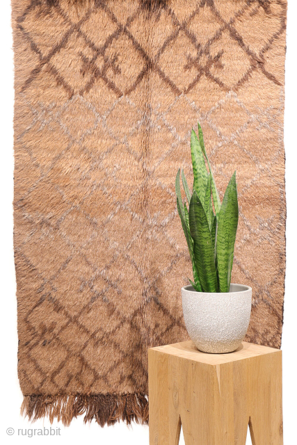 A Superb Yaqoob Khani Baluch Rug – Afghanistan
This sYaqoob Khani Baluch rug from Afghanistan has a wonderfully wild and primitive character. Handwoven from unspun and undyed wool, it captures the essence of ...